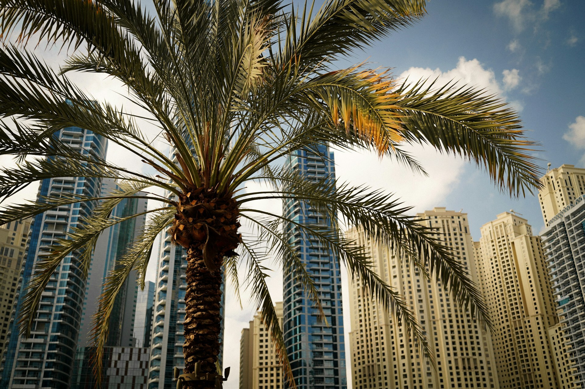 Dubai, UAE