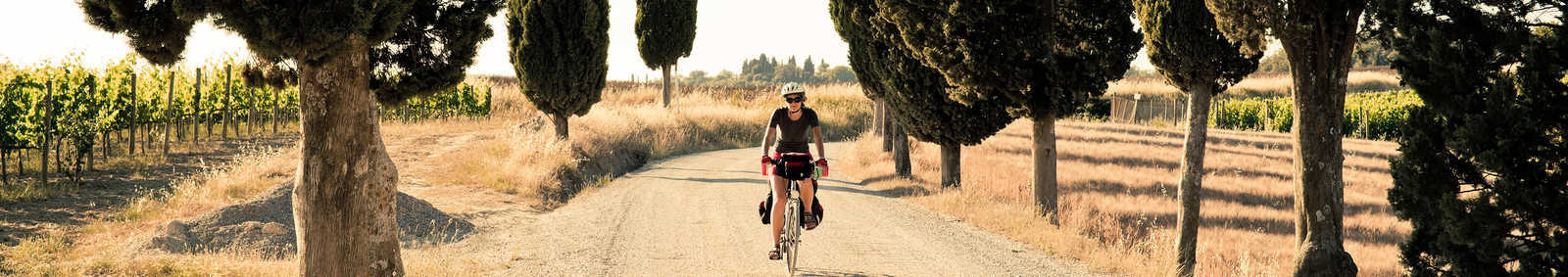 Tuscany Cycle Pisa To Florence - Italy