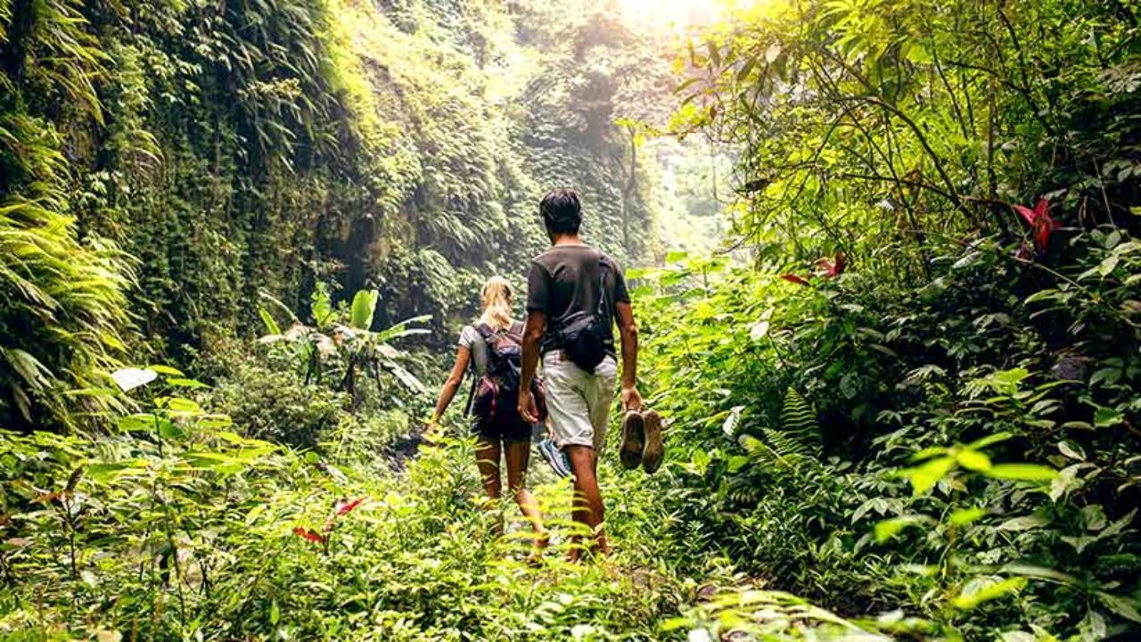 Explore Phnom Penh National Park