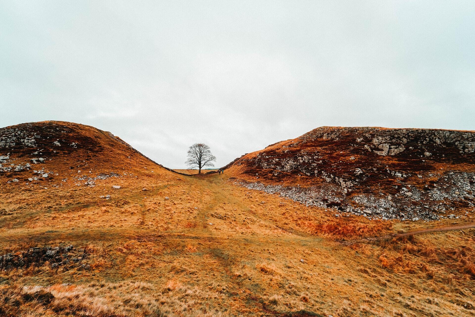 7 Day Hadrian's Wall Walk photo 2