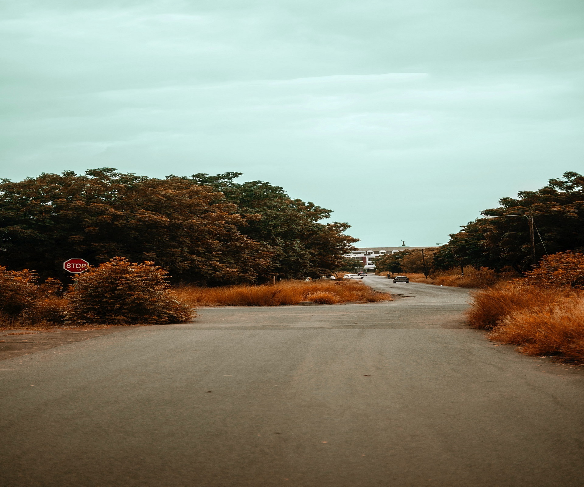 Go To Botswana