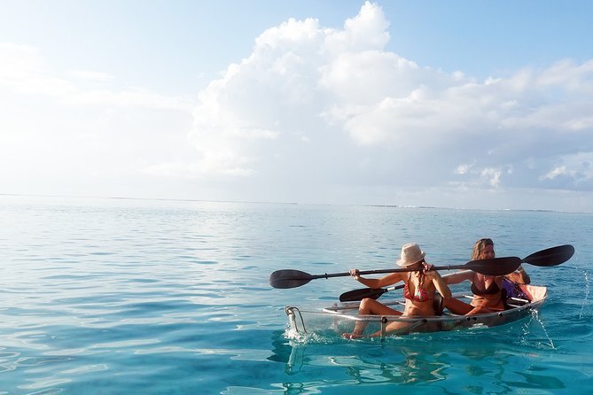 Tour a lagoon in a transparent kayak