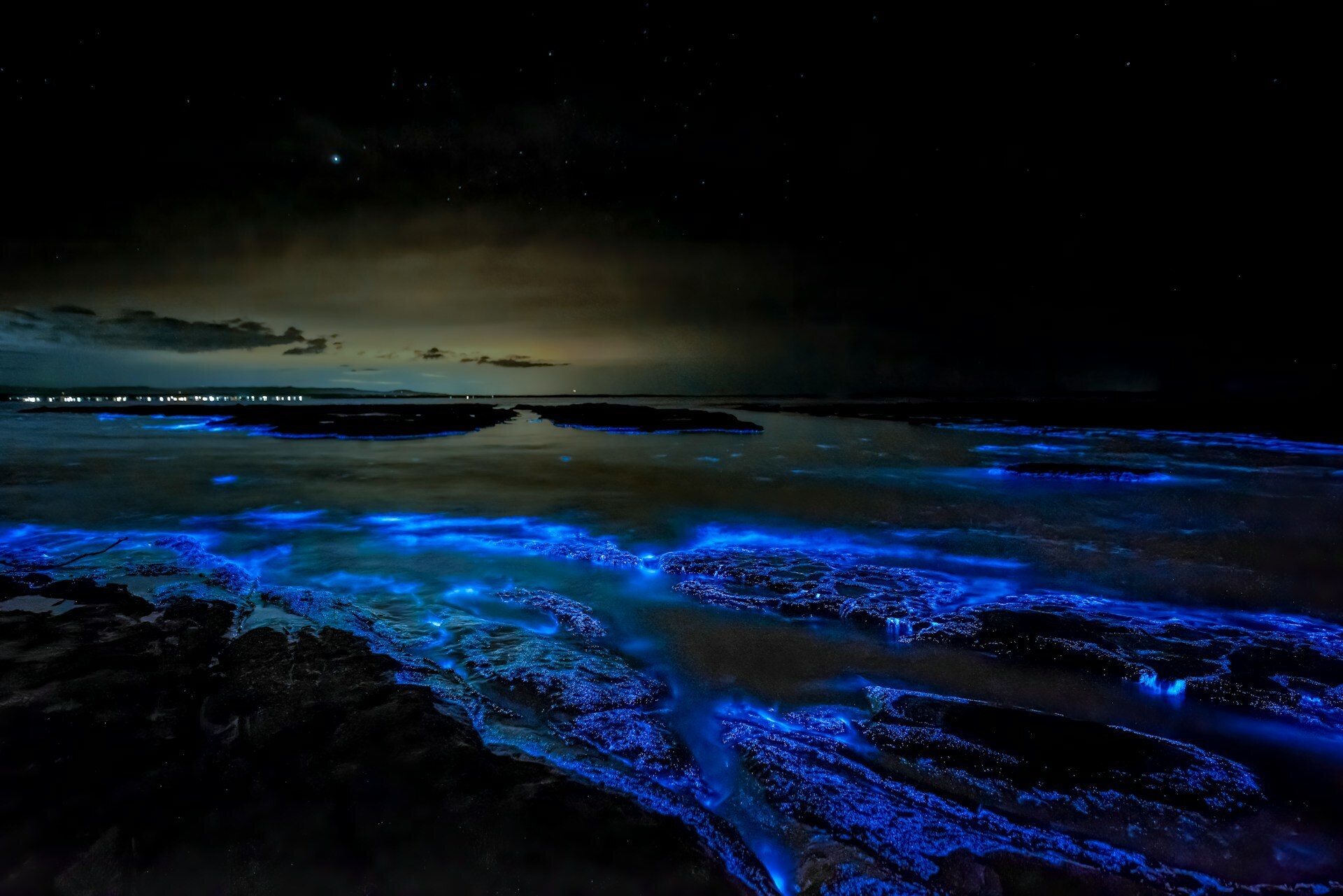 Visit a Bioluminescent Beach
