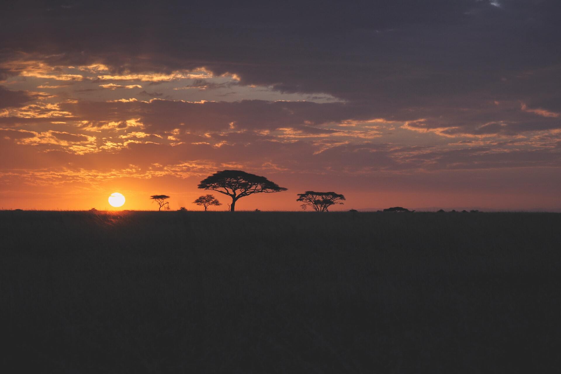 Tanzania