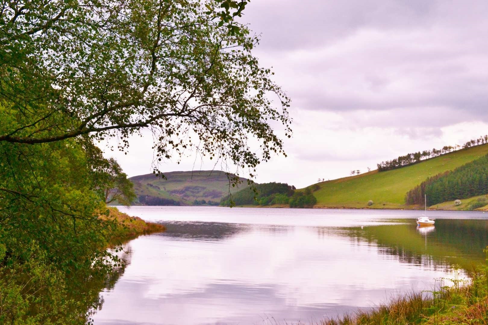 7 Night Scenic Walking Break Wales photo 3