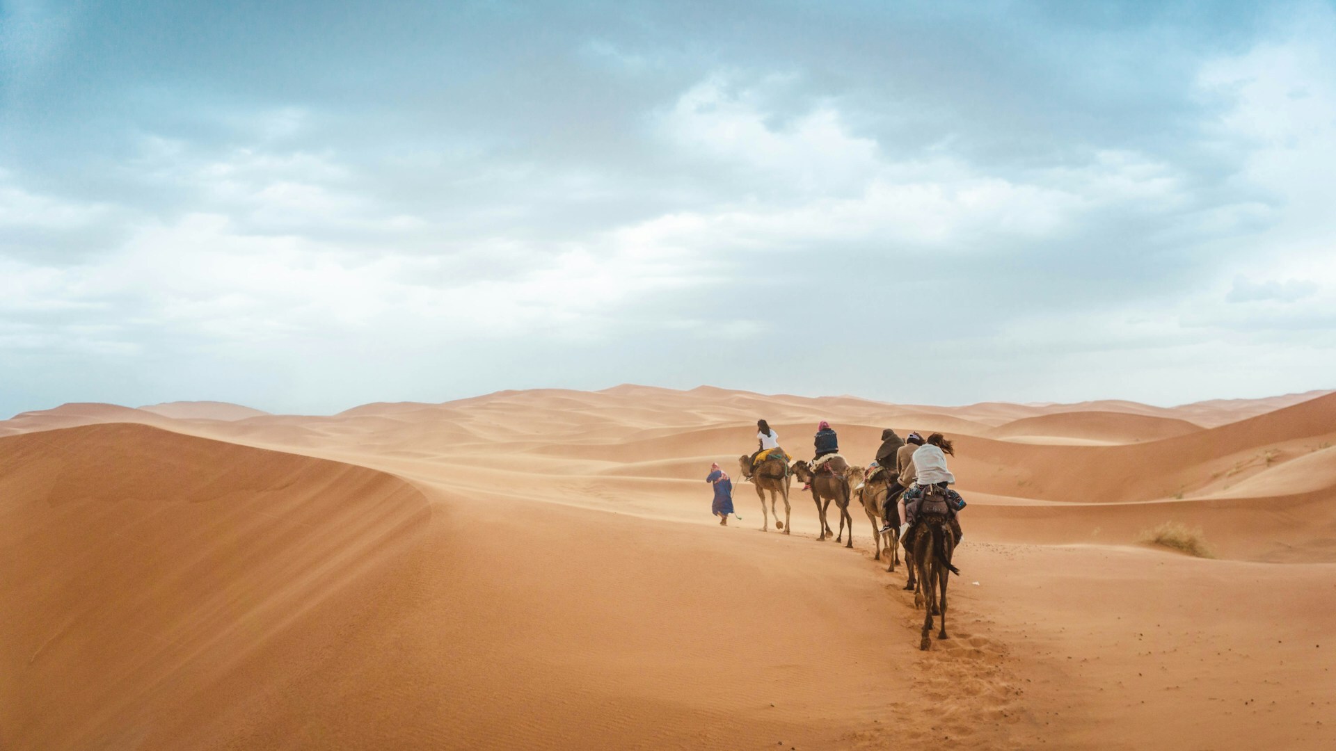 Visit The Sahara Desert