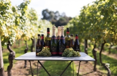 Chapel Down Vineyard Tour