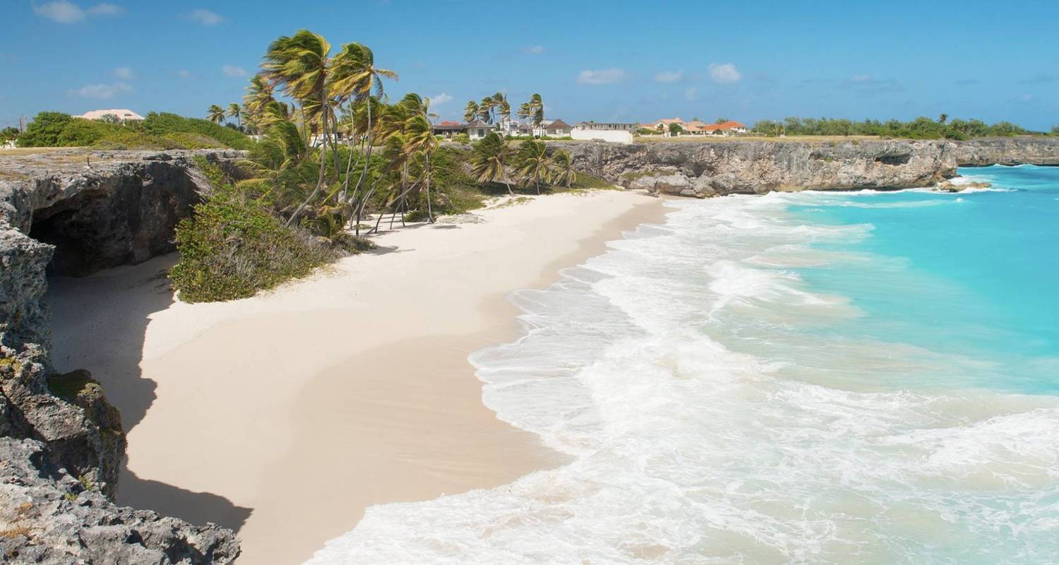 5 Days in Barbados