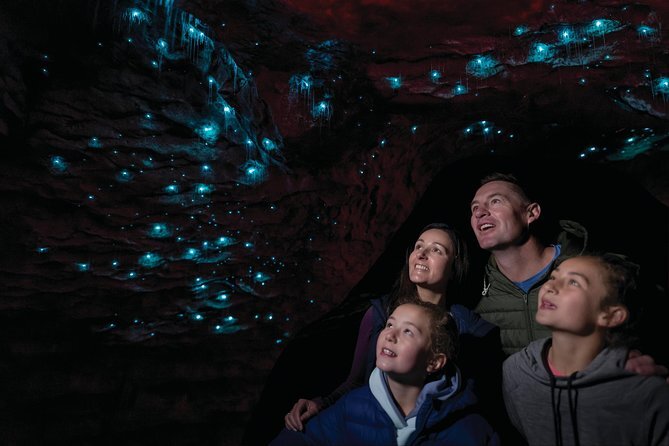 Te Anau Glowworm Caves, New Zealand