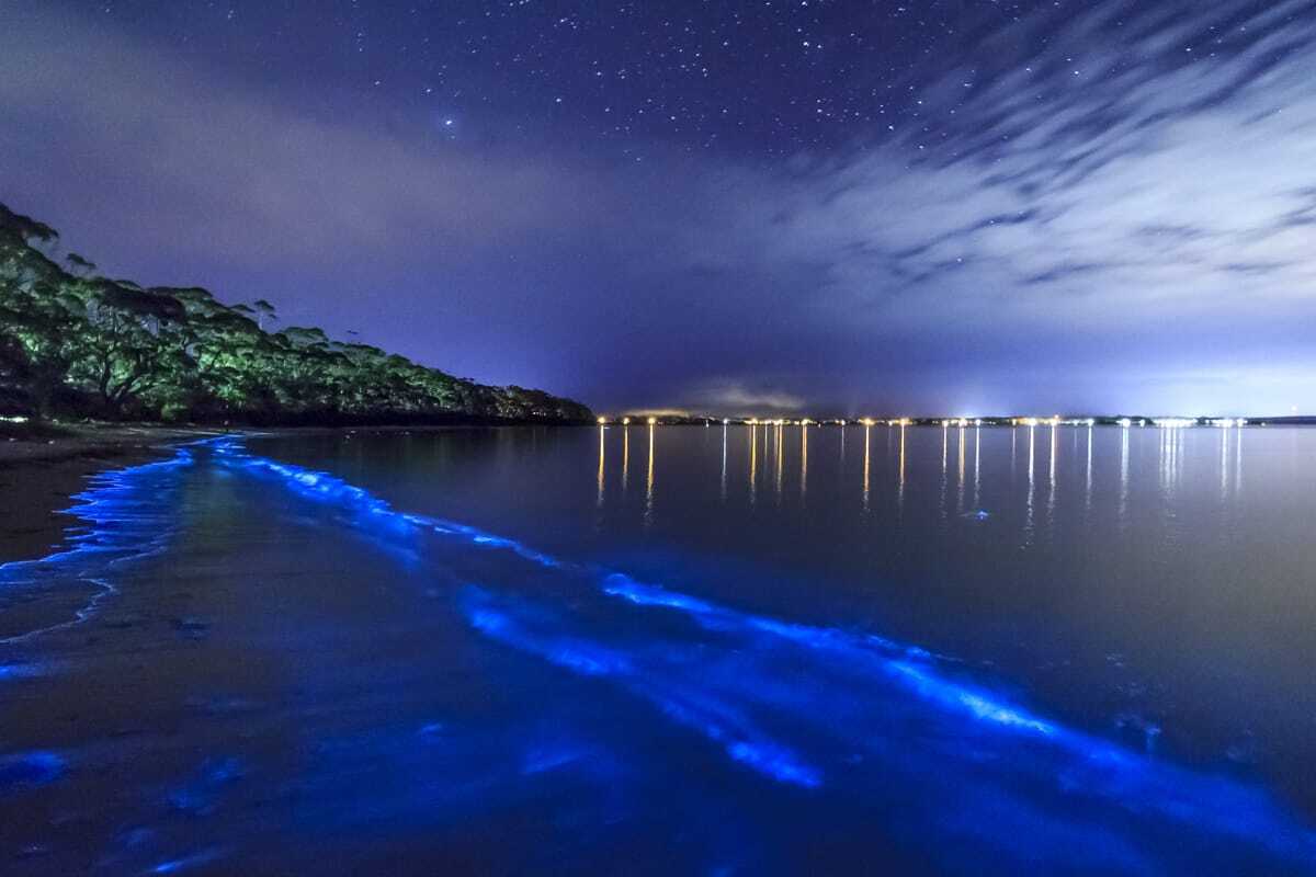Mosquito Bay, Vieques, Puerto Rico