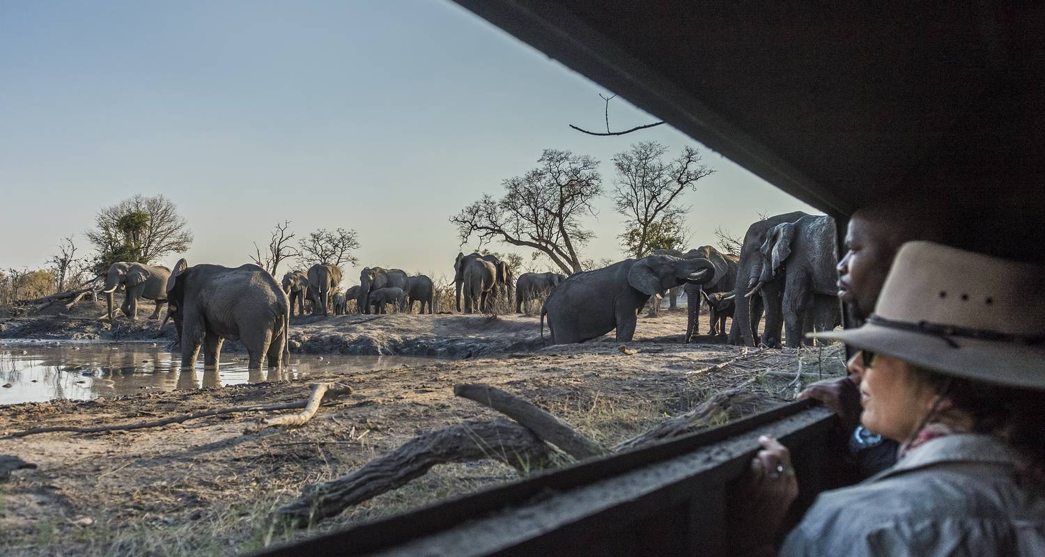 10-Day-The Elephant Trail Experience in Botswana