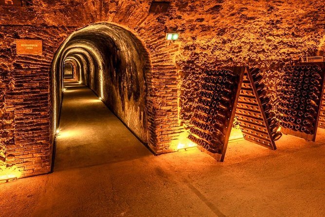 Small-Group Champagne Tour from Paris Including 3-Course Lunch