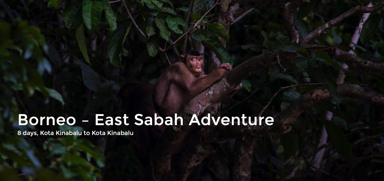 8 days Borneo To Sabah