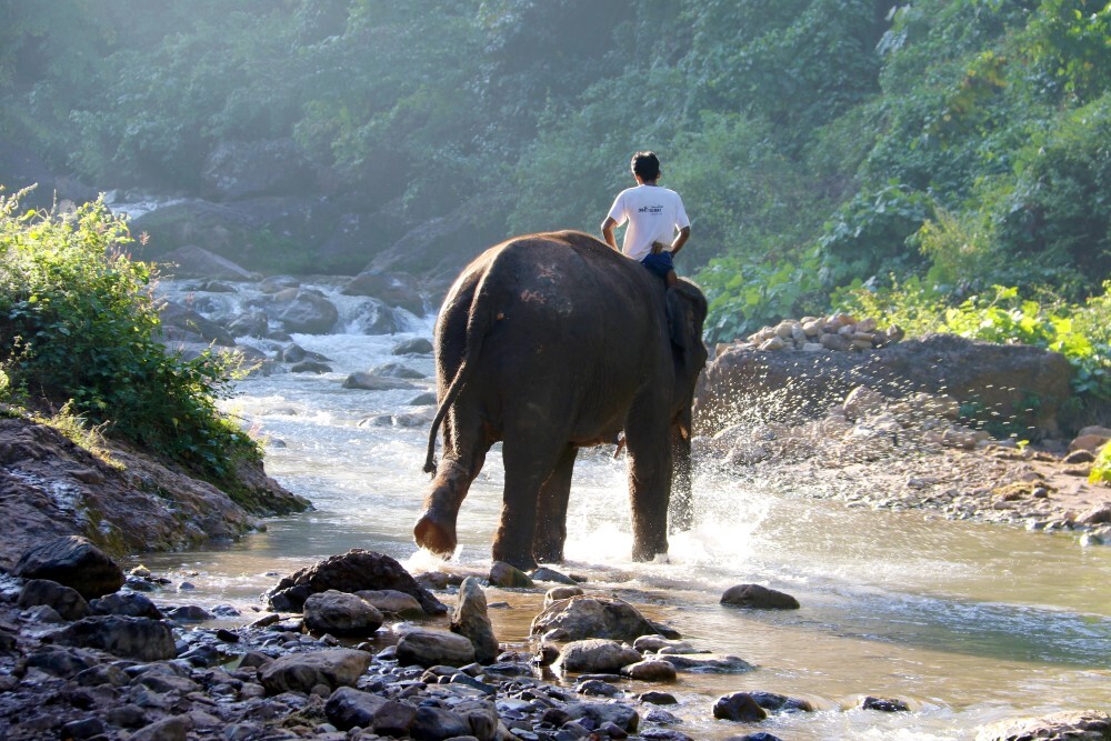 Green Hill Valley Elephant Park - Kalaw, Myanmar