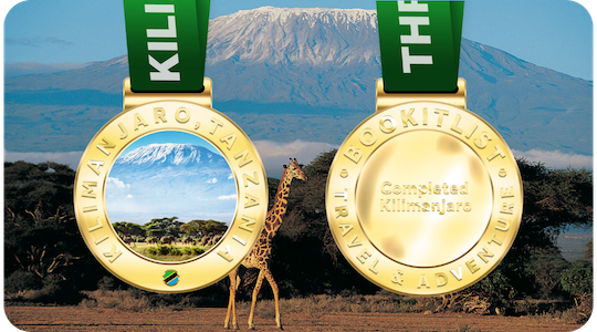 Completion Medal