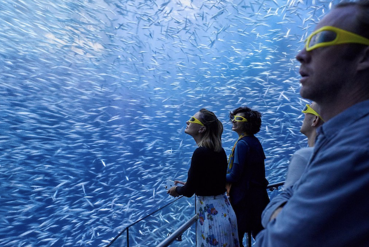 National Geographic Encounter