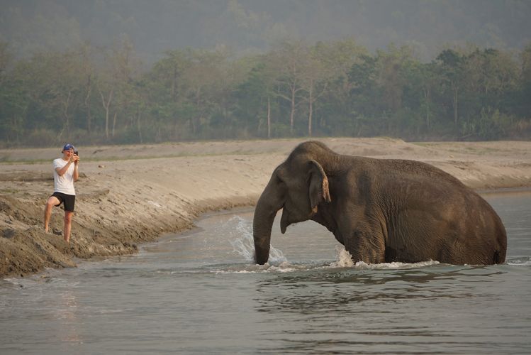 Tiger Tops Elephant Camp - Nepal