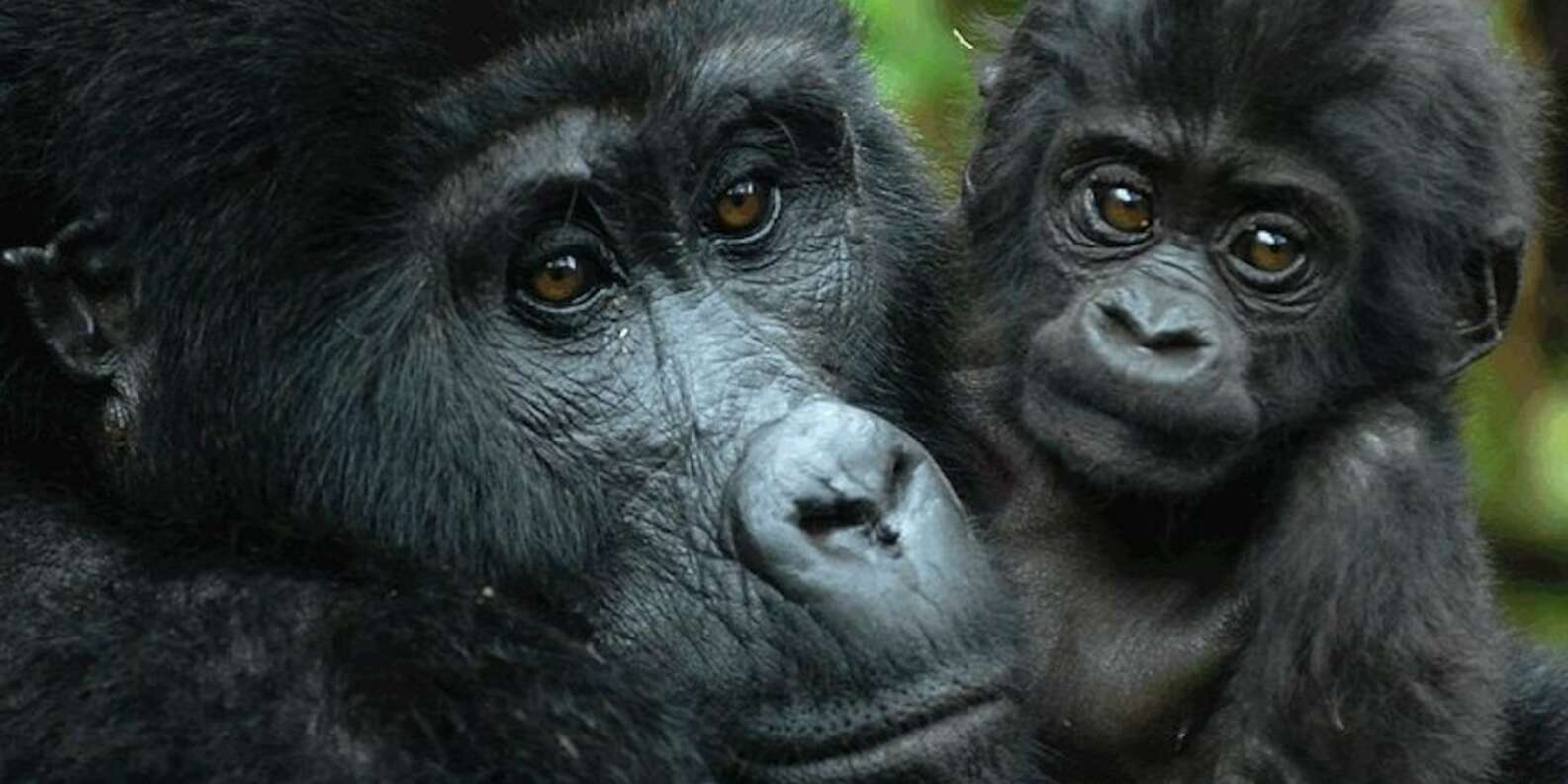 Uganda