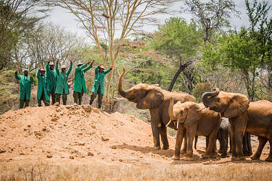 The Sheldrick Wildlife Trust  - Nairobi, Kenya