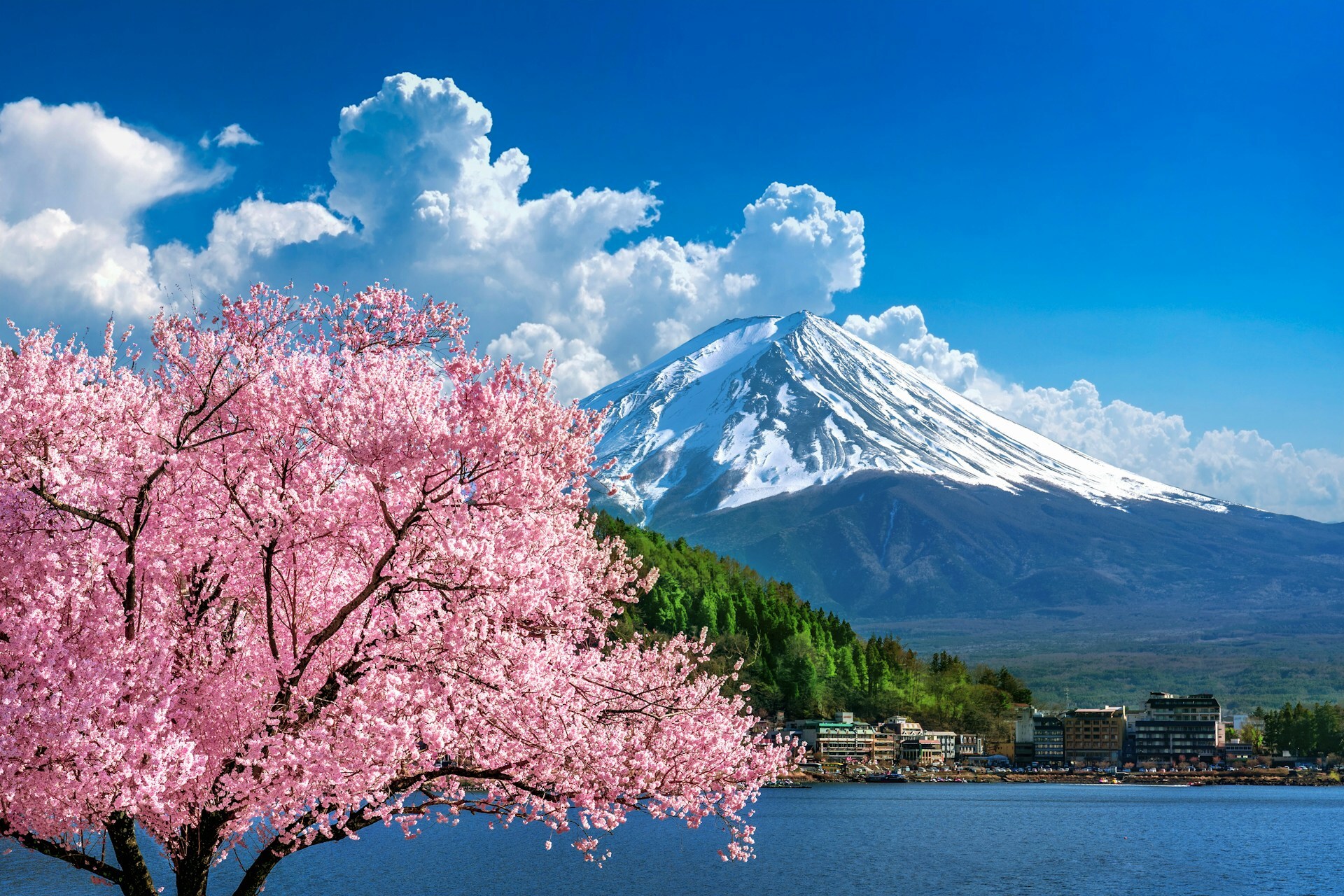 Discover Japan