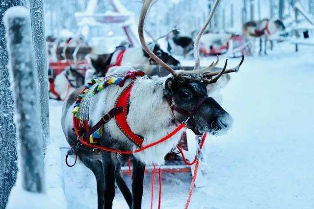 Lapland Adventure
